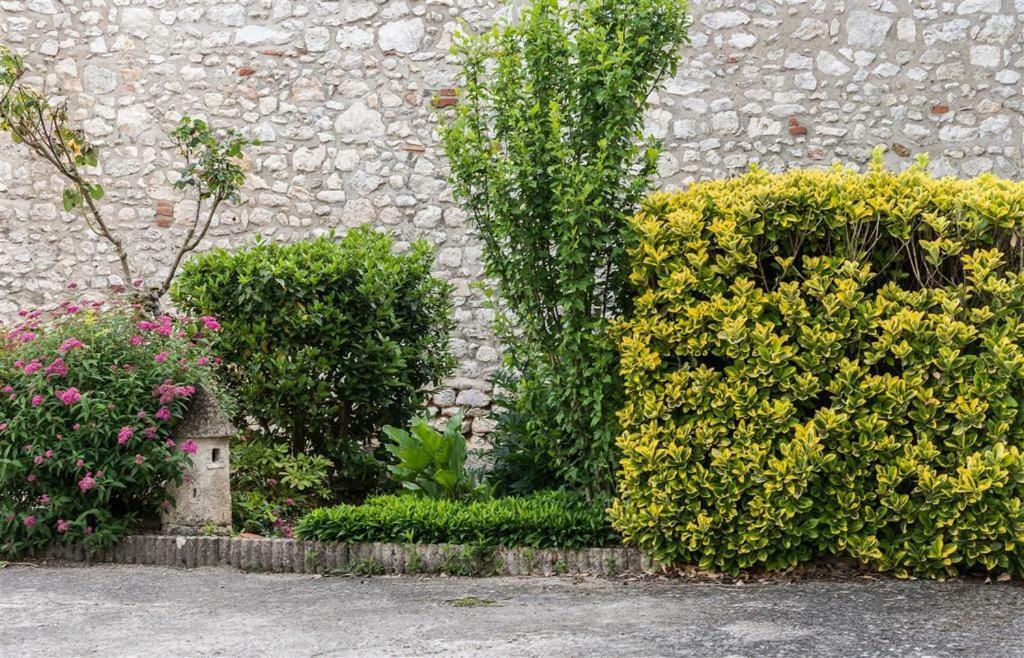 Hotel Du Cygne De La Croix Blanche Lailly-en-Val المظهر الخارجي الصورة